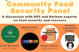 poster stating &quot;community food security panel- a discussion with DCF and Durham experts on food securrity and recovery&quot;, showing the logos of Root Causes, Candor, Baggingit4kids, and Durham Community Fridges